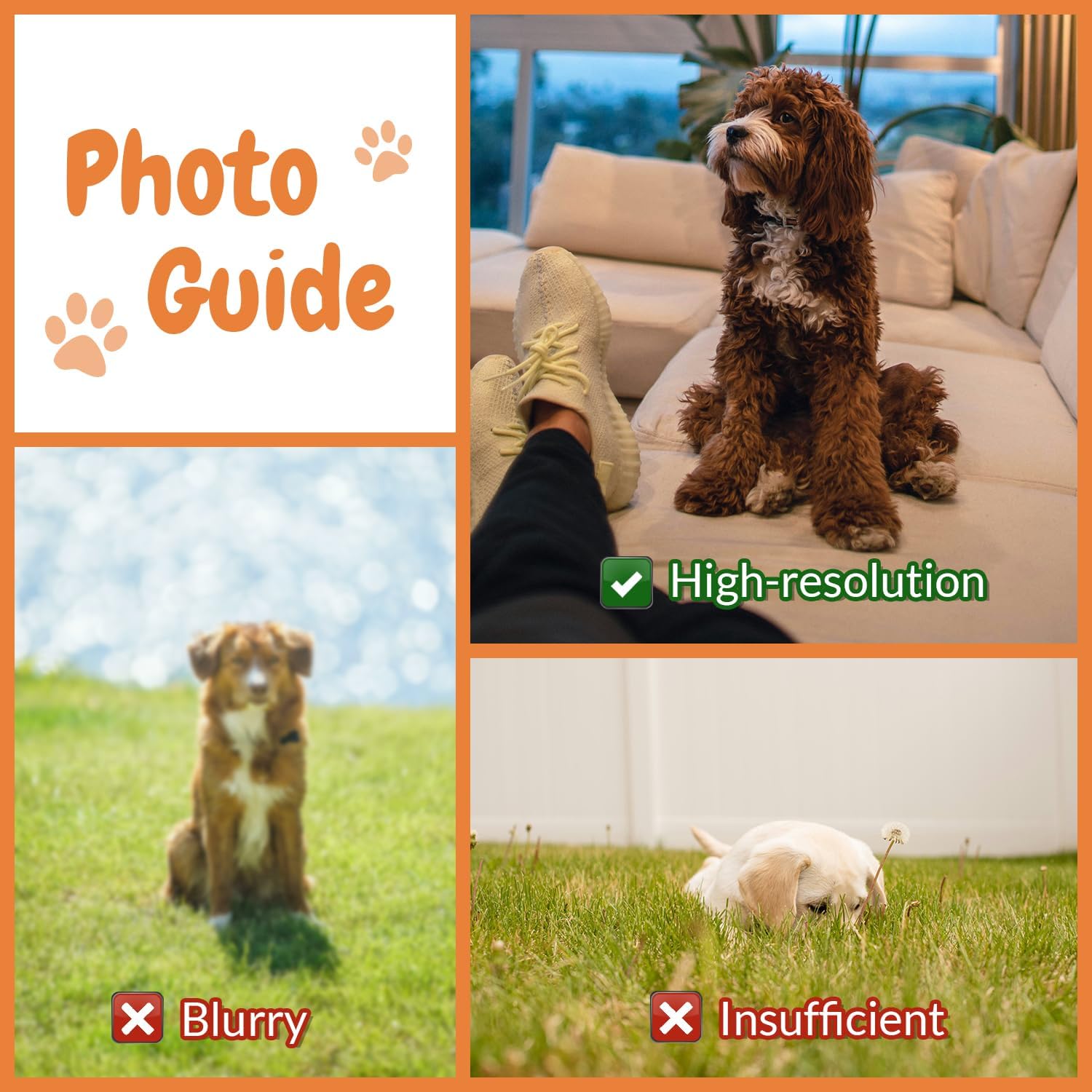 Customised Photo Pet Home Pill - Home Textiles Images ulasan dan harga