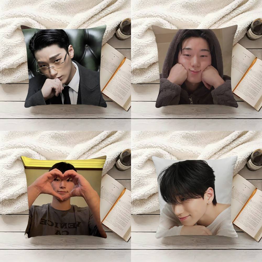 C-Choi S-San Pillow Cover Sofa - Home Textiles Inc ulasan dan harga
