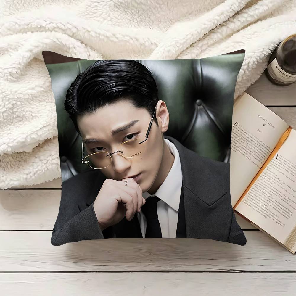 C-Choi S-San Pillow Cover Sofa - Home Textiles Inc ulasan dan harga