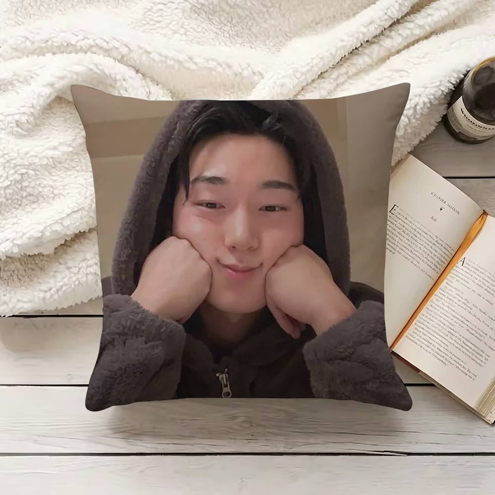 C-Choi S-San Pillow Cover Sofa - Home Textiles Inc ulasan dan harga